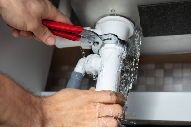 Best Mold removal after water damage  in Andrews Af, MD