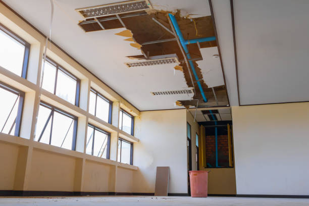 Best Carpet water damage restoration  in Andrews Af, MD