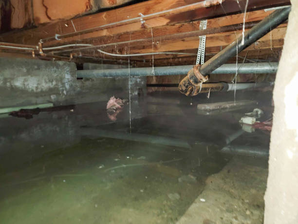 Best Residential water damage restoration  in Andrews Af, MD
