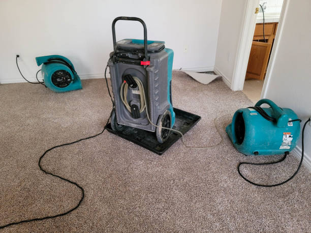 Best Flood restoration services  in Andrews Af, MD