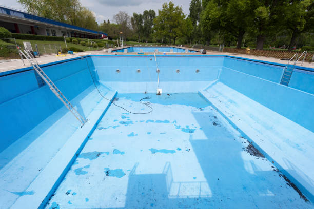 Best Mold removal after water damage  in Andrews Af, MD