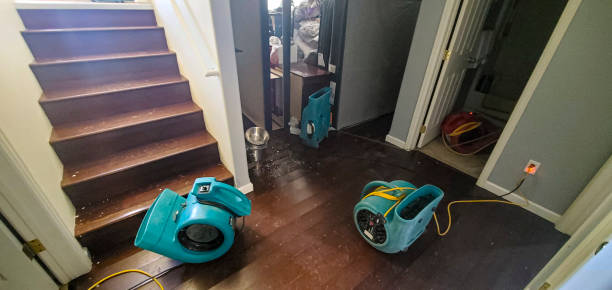 Best 24-hour water damage restoration  in Andrews Af, MD