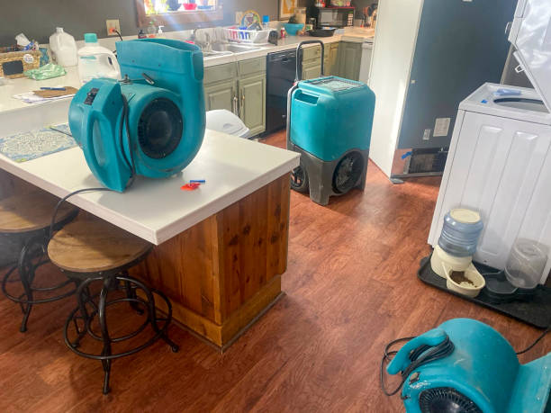 Best Sewage cleanup and water damage restoration  in Andrews Af, MD