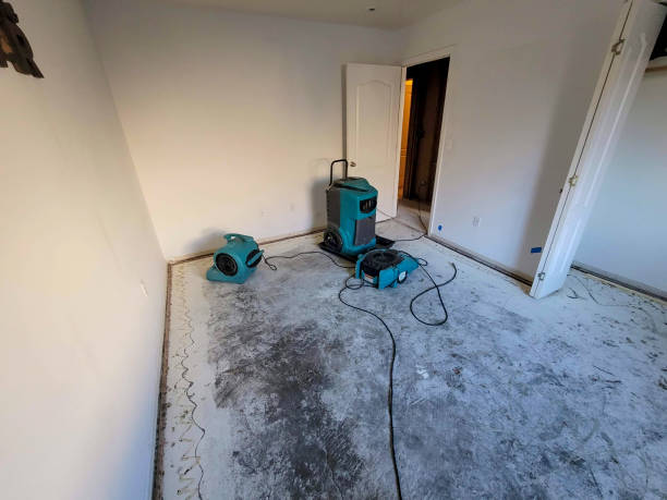 Best Water damage contractors near me  in Andrews Af, MD