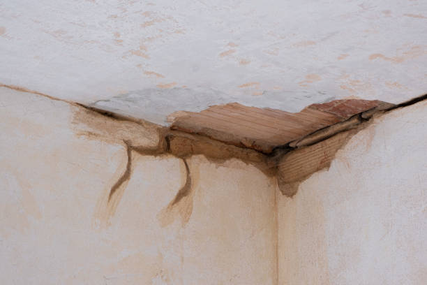  Andrews Af, MD Water damage restoration Pros
