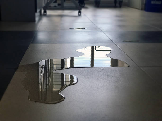 Best Water damage cleanup near me  in Andrews Af, MD
