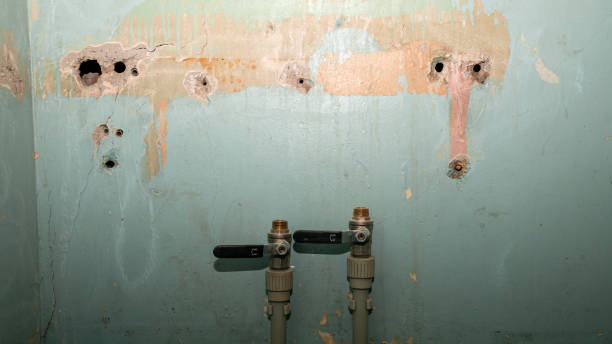 Best Basement water damage restoration  in Andrews Af, MD
