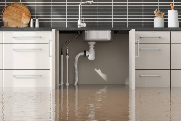 Water damage restoration insurance claims in Andrews Af, MD