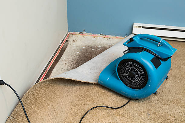 Reliable Andrews Af, MD Water damage restoration Solutions